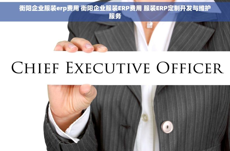 衡阳企业服装erp费用 衡阳企业服装ERP费用 服装ERP定制开发与维护服务