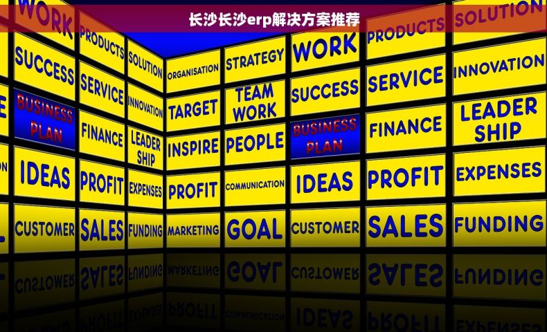 长沙长沙erp解决方案推荐