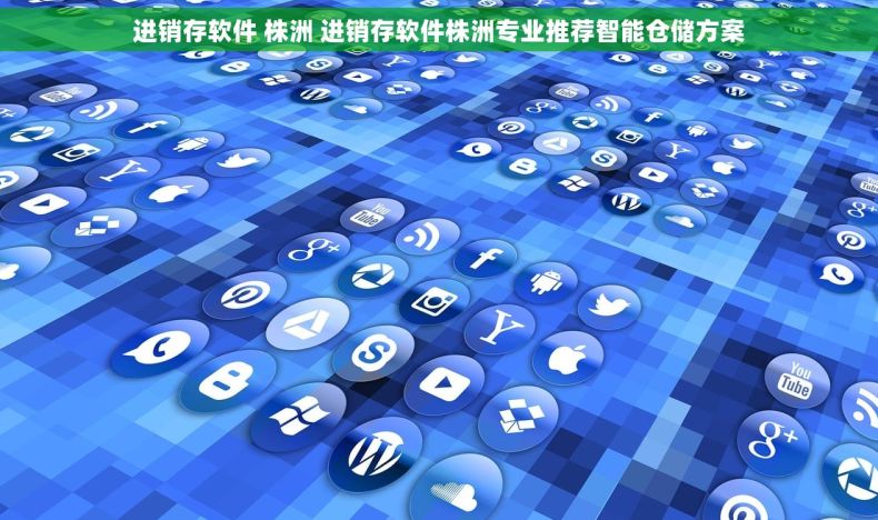 进销存软件 株洲 进销存软件株洲专业推荐智能仓储方案