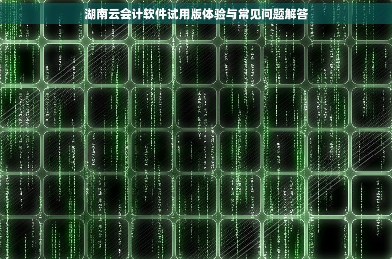湖南云会计软件试用版体验与常见问题解答