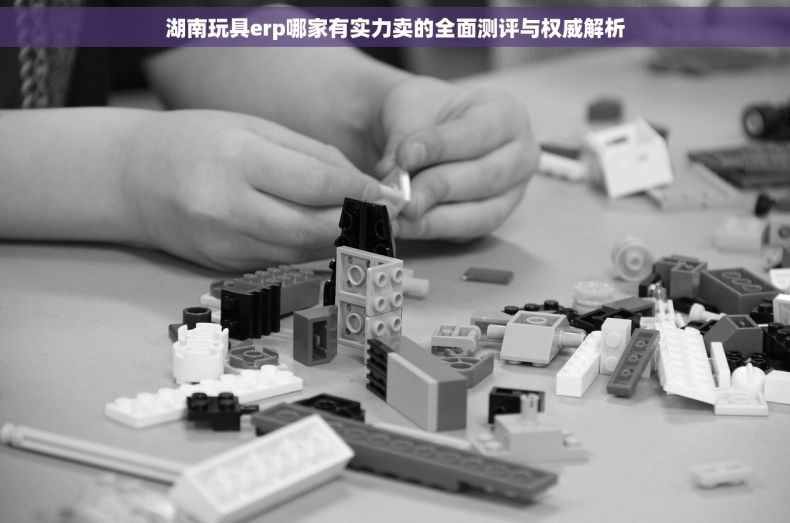 湖南玩具erp哪家有实力卖的全面测评与权威解析