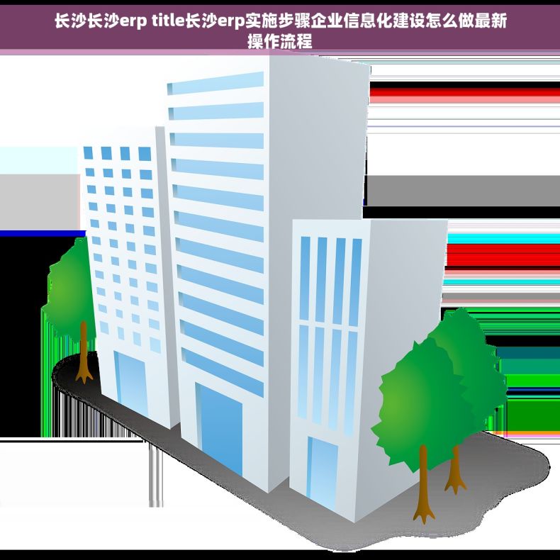 长沙长沙erp title长沙erp实施步骤企业信息化建设怎么做最新操作流程
