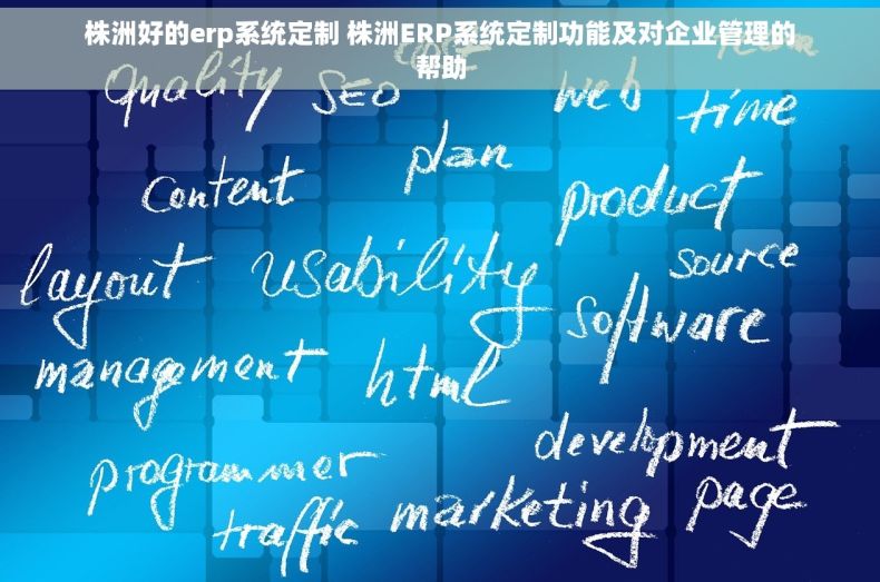 株洲好的erp系统定制 株洲ERP系统定制功能及对企业管理的帮助