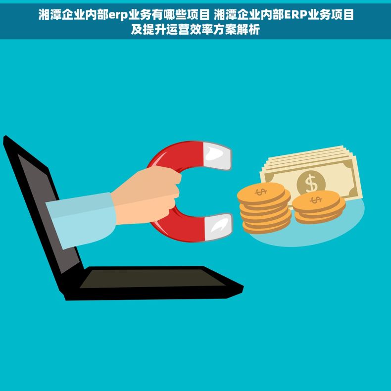 湘潭企业内部erp业务有哪些项目 湘潭企业内部ERP业务项目及提升运营效率方案解析