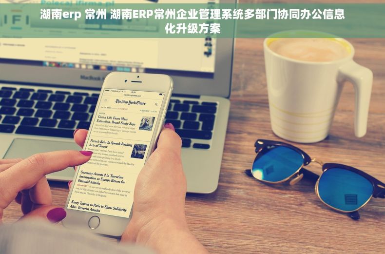 湖南erp 常州 湖南ERP常州企业管理系统多部门协同办公信息化升级方案