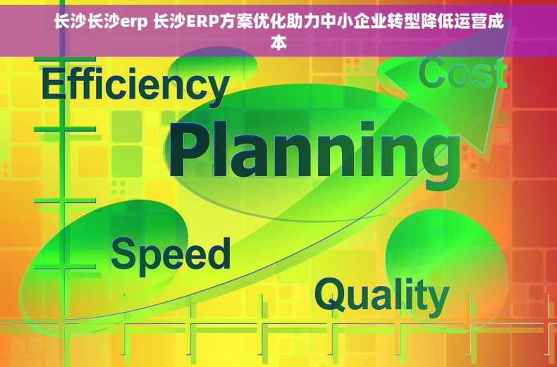 长沙长沙erp 长沙ERP方案优化助力中小企业转型降低运营成本