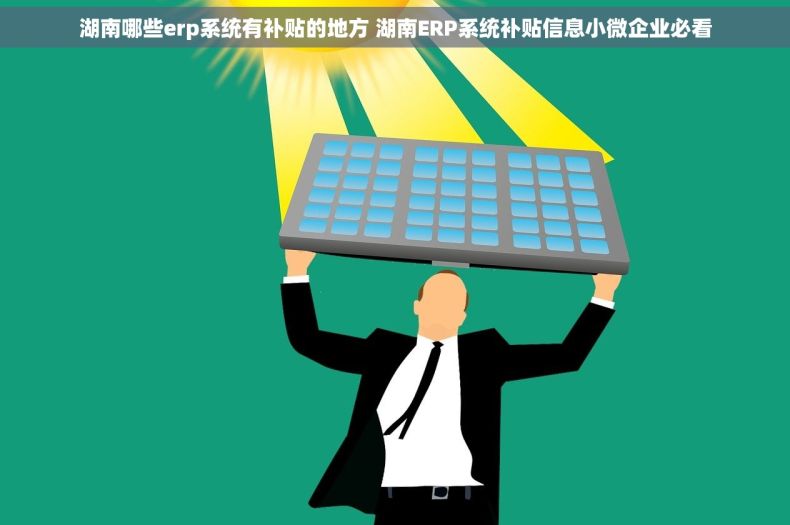湖南哪些erp系统有补贴的地方 湖南ERP系统补贴信息小微企业必看