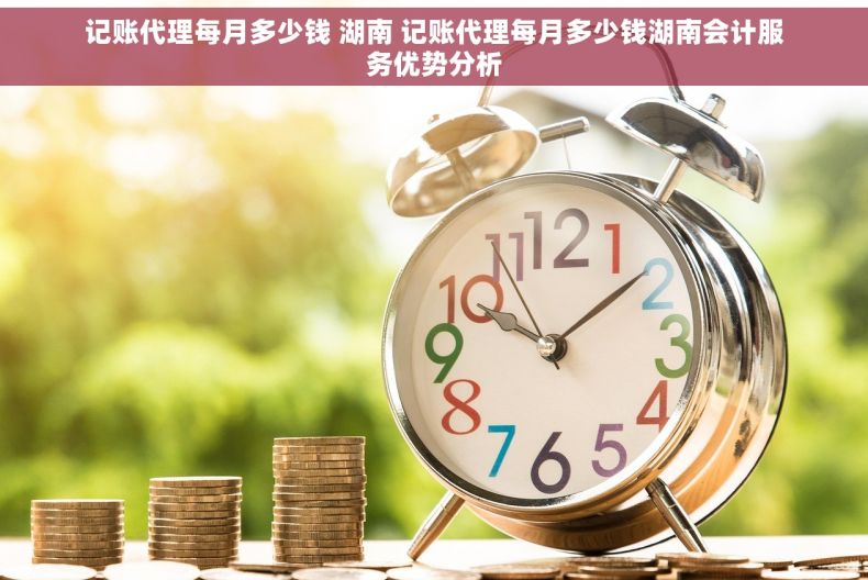 记账代理每月多少钱 湖南 记账代理每月多少钱湖南会计服务优势分析