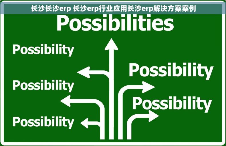 长沙长沙erp 长沙erp行业应用长沙erp解决方案案例