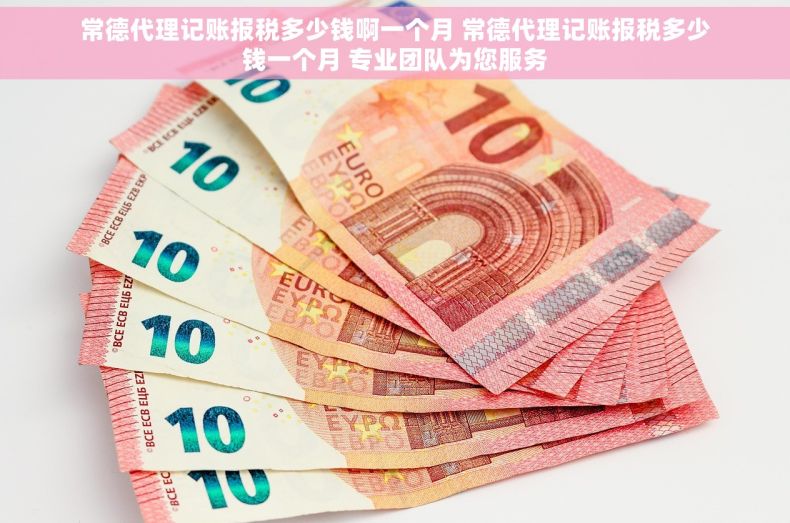 常德代理记账报税多少钱啊一个月 常德代理记账报税多少钱一个月 专业团队为您服务