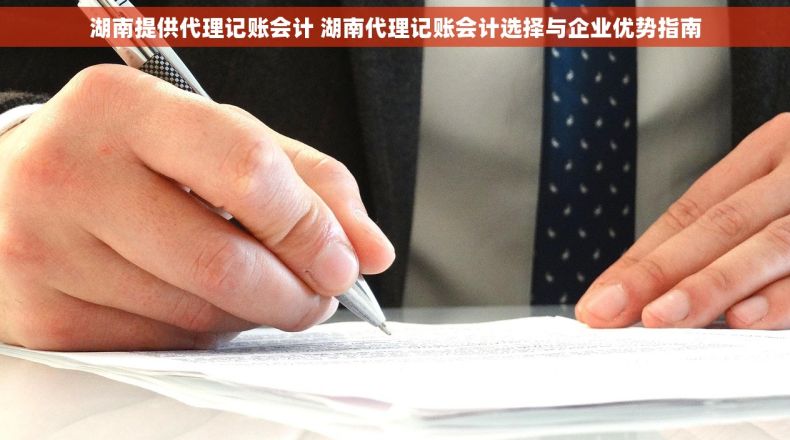 湖南提供代理记账会计 湖南代理记账会计选择与企业优势指南