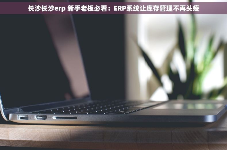 长沙长沙erp 新手老板必看：ERP系统让库存管理不再头疼