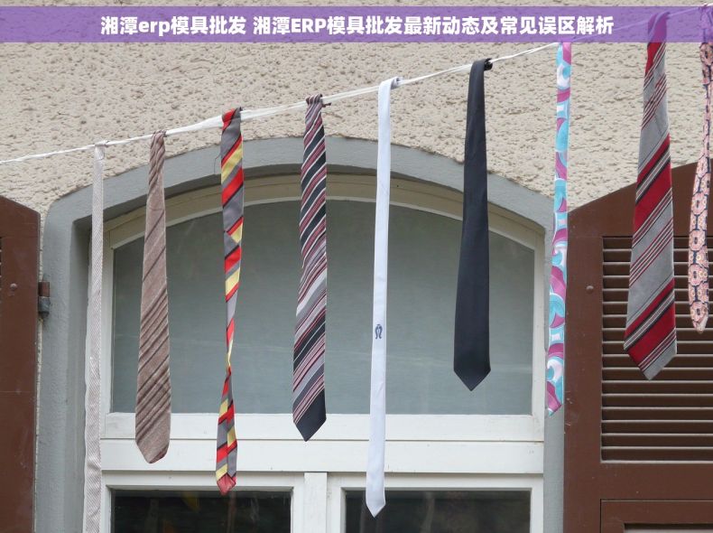 湘潭erp模具批发 湘潭ERP模具批发最新动态及常见误区解析