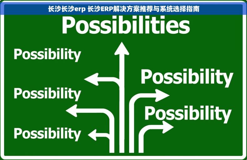 长沙长沙erp 长沙ERP解决方案推荐与系统选择指南