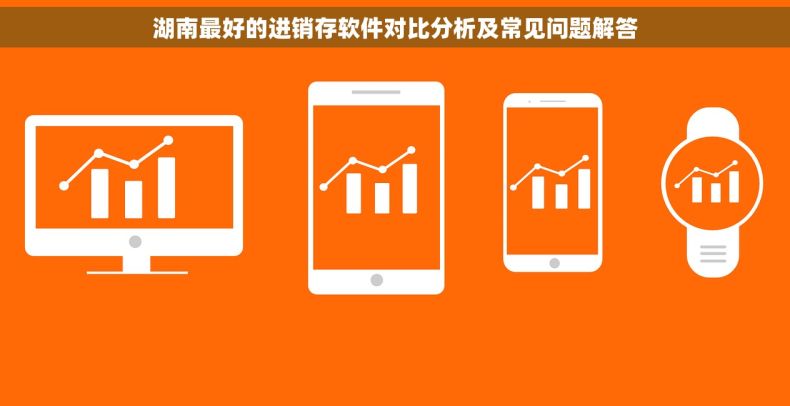 湖南最好的进销存软件对比分析及常见问题解答