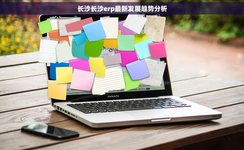 长沙长沙erp最新发展趋势分析