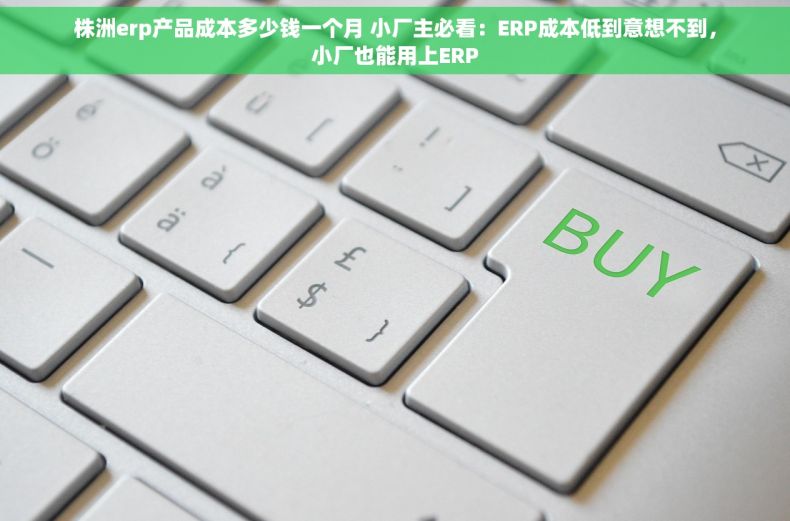 株洲erp产品成本多少钱一个月 小厂主必看：ERP成本低到意想不到，小厂也能用上ERP