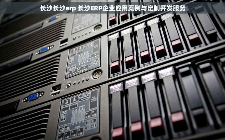 长沙长沙erp 长沙ERP企业应用案例与定制开发服务
