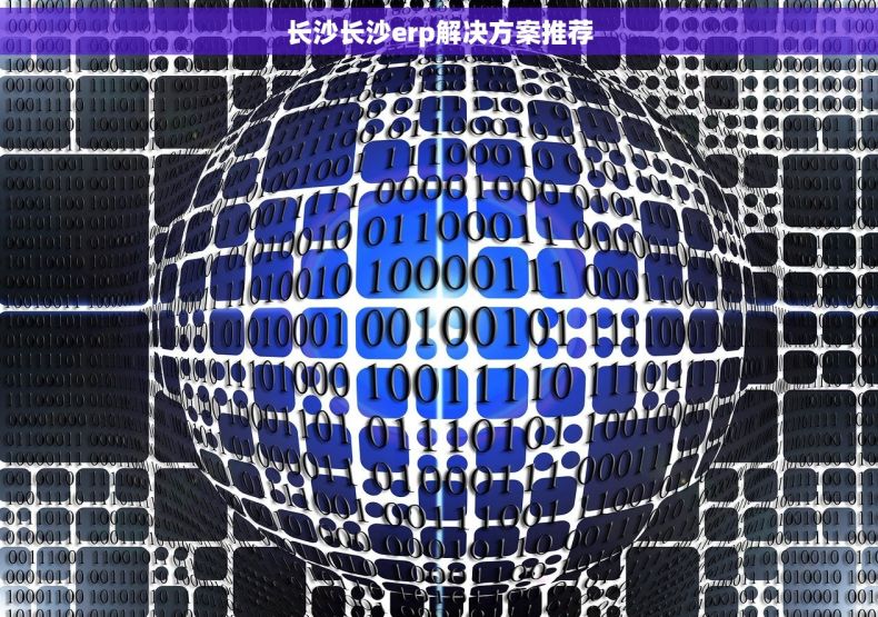 长沙长沙erp解决方案推荐