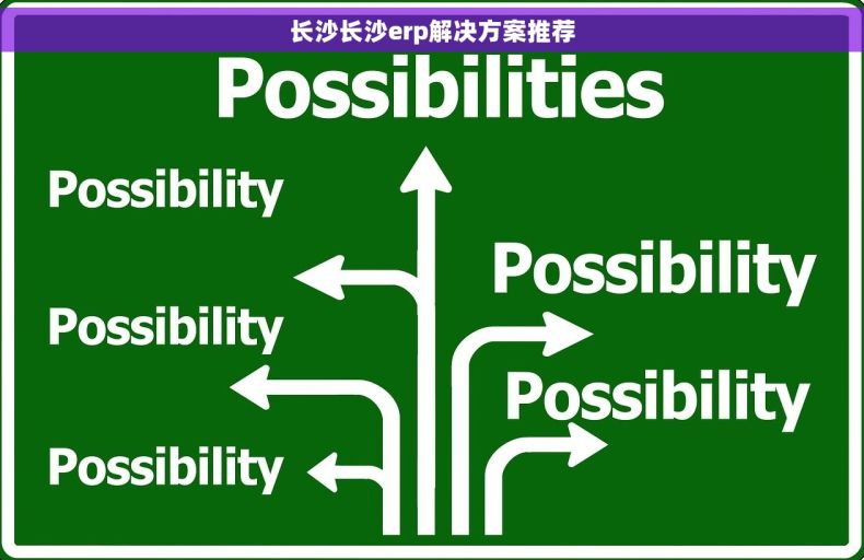 长沙长沙erp解决方案推荐