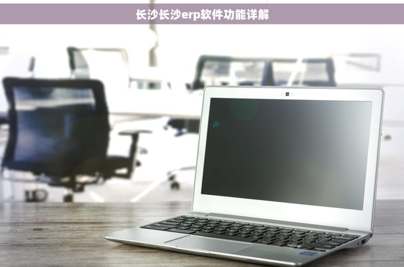 长沙长沙erp软件功能详解