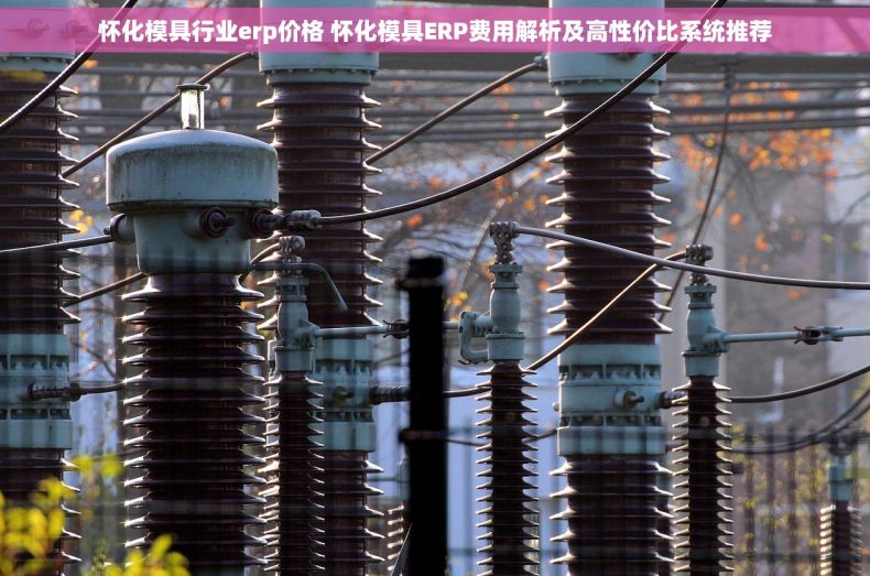 怀化模具行业erp价格 怀化模具ERP费用解析及高性价比系统推荐