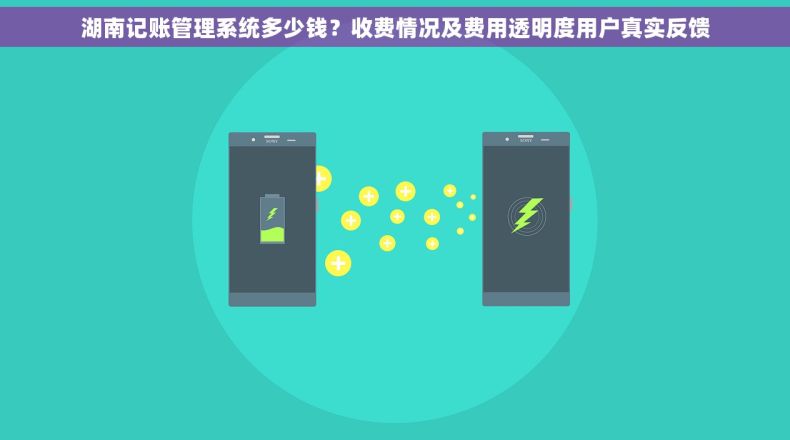 湖南记账管理系统多少钱？收费情况及费用透明度用户真实反馈