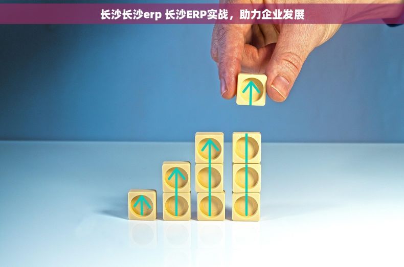 长沙长沙erp 长沙ERP实战，助力企业发展