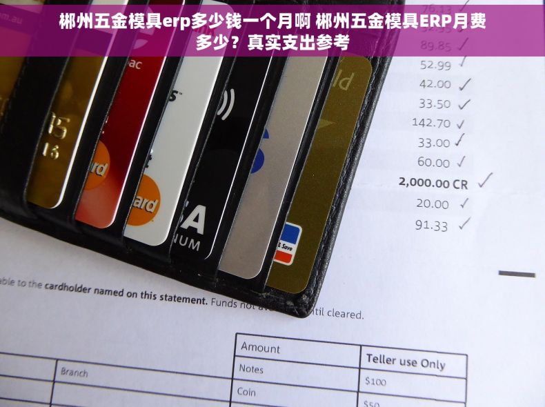郴州五金模具erp多少钱一个月啊 郴州五金模具ERP月费多少？真实支出参考