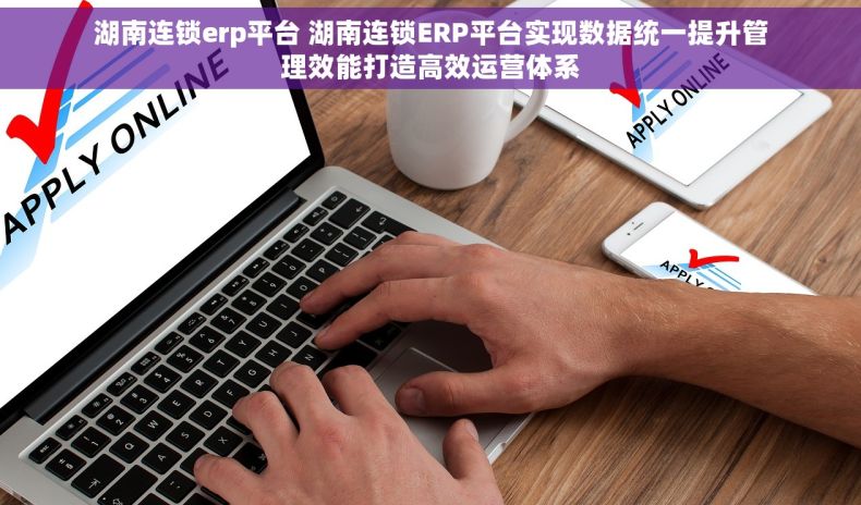湖南连锁erp平台 湖南连锁ERP平台实现数据统一提升管理效能打造高效运营体系
