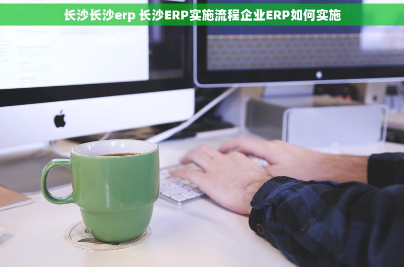 长沙长沙erp 长沙ERP实施流程企业ERP如何实施