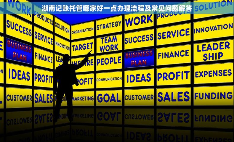 湖南记账托管哪家好一点办理流程及常见问题解答