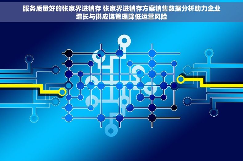 服务质量好的张家界进销存 张家界进销存方案销售数据分析助力企业增长与供应链管理降低运营风险