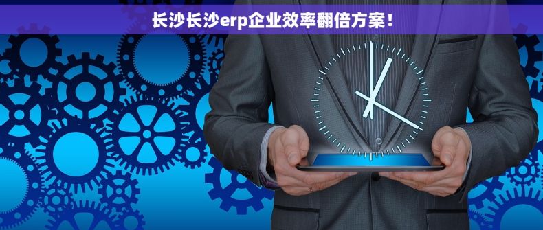 长沙长沙erp企业效率翻倍方案！