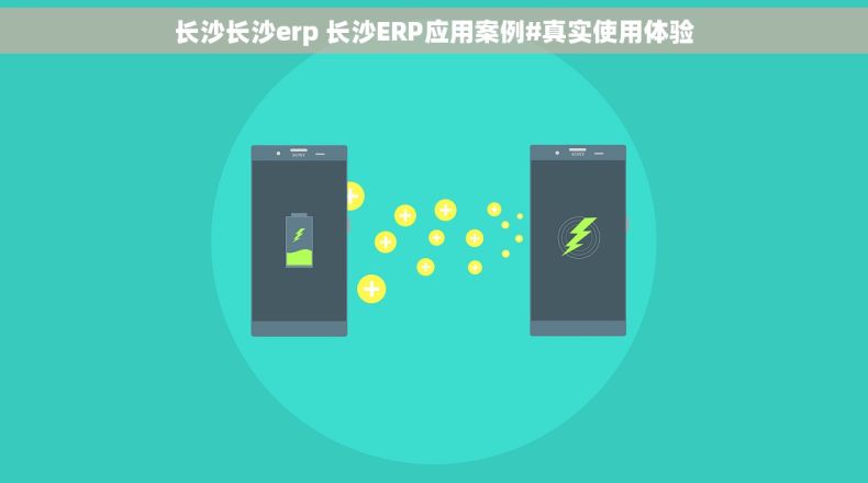 长沙长沙erp 长沙ERP应用案例#真实使用体验