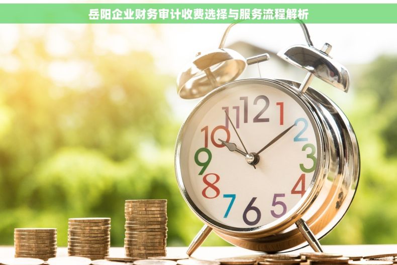 岳阳企业财务审计收费选择与服务流程解析