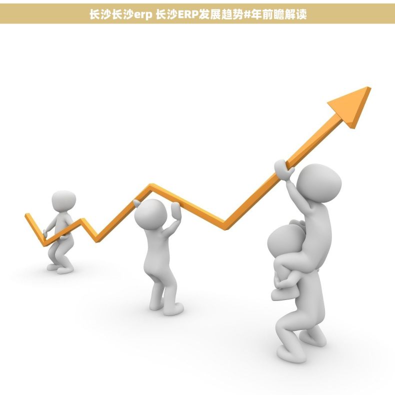 长沙长沙erp 长沙ERP发展趋势#年前瞻解读