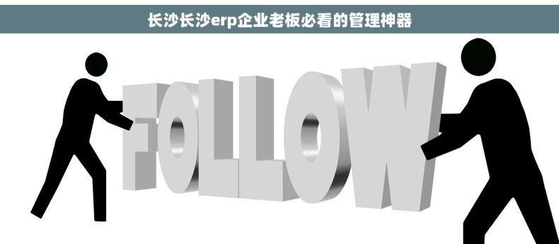 长沙长沙erp企业老板必看的管理神器