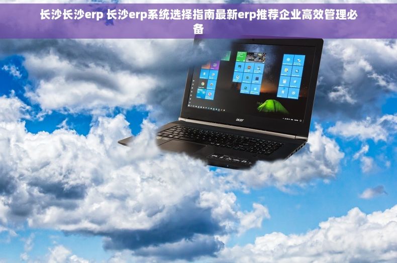 长沙长沙erp 长沙erp系统选择指南最新erp推荐企业高效管理必备