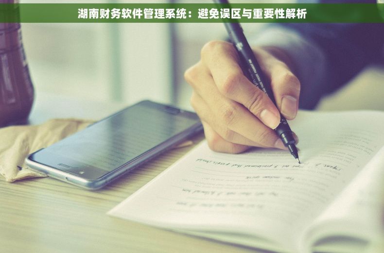 湖南财务软件管理系统：避免误区与重要性解析