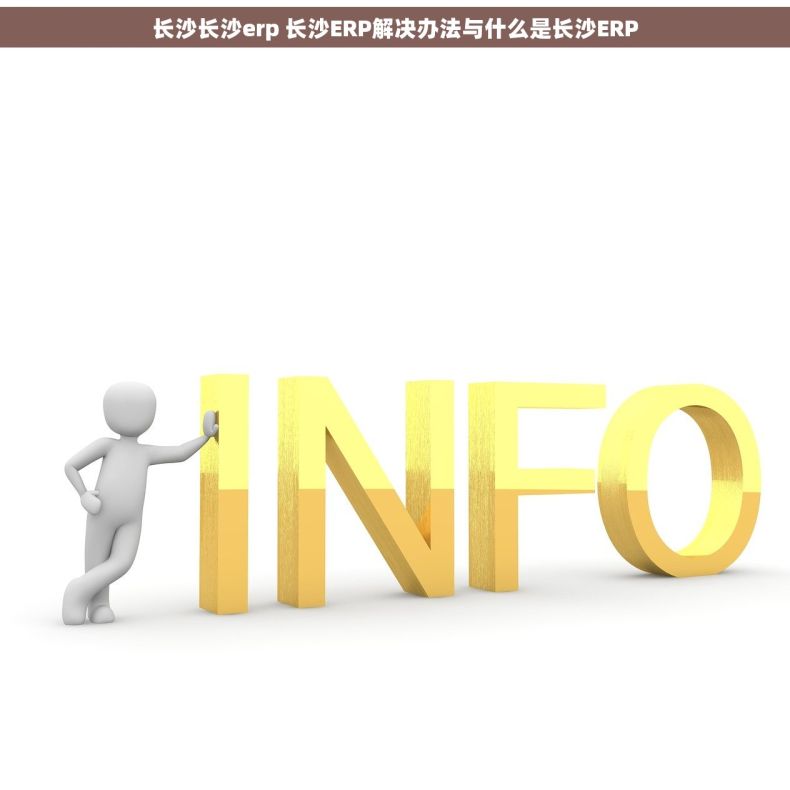 长沙长沙erp 长沙ERP解决办法与什么是长沙ERP