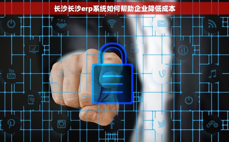 长沙长沙erp系统如何帮助企业降低成本