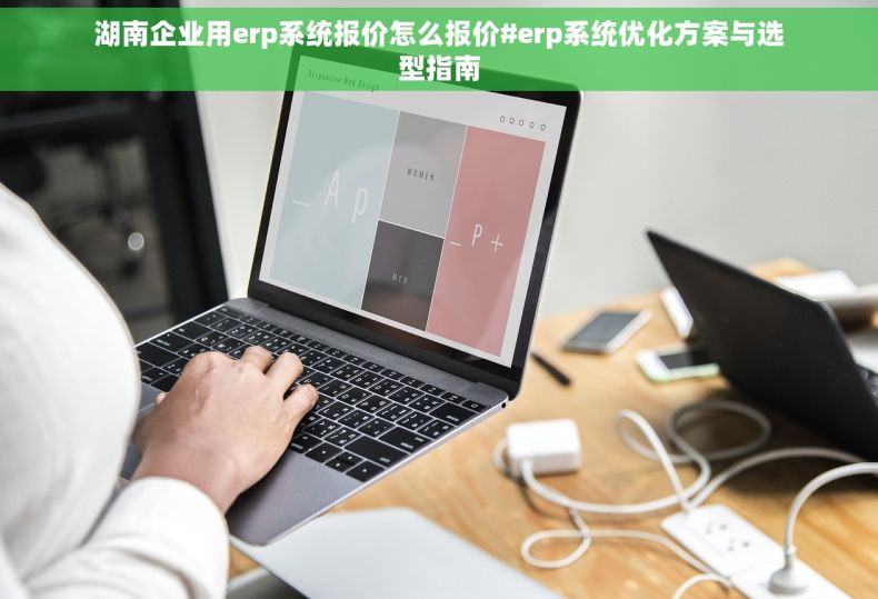 湖南企业用erp系统报价怎么报价#erp系统优化方案与选型指南