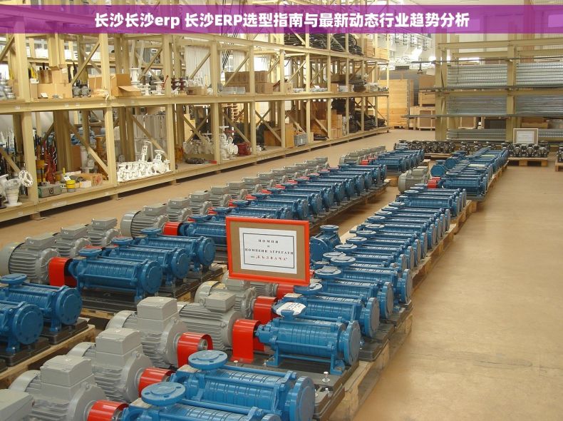 长沙长沙erp 长沙ERP选型指南与最新动态行业趋势分析