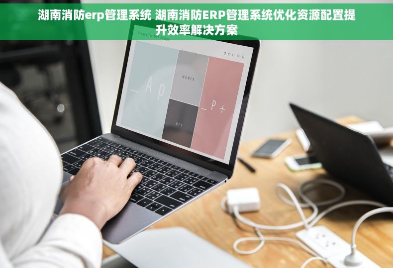 湖南消防erp管理系统 湖南消防ERP管理系统优化资源配置提升效率解决方案