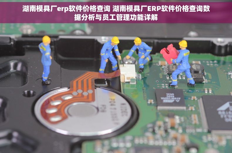 湖南模具厂erp软件价格查询 湖南模具厂ERP软件价格查询数据分析与员工管理功能详解
