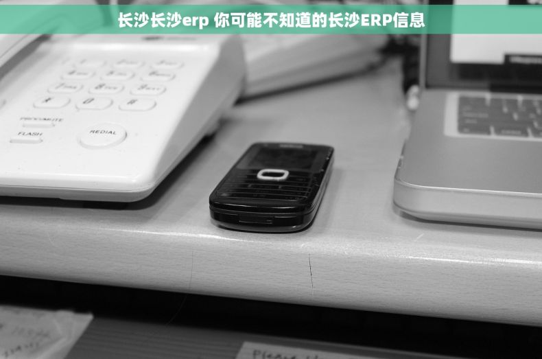 长沙长沙erp 你可能不知道的长沙ERP信息