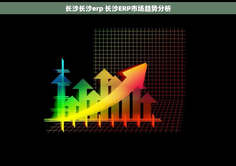 长沙长沙erp 长沙ERP市场趋势分析