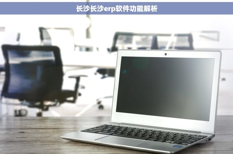 长沙长沙erp软件功能解析