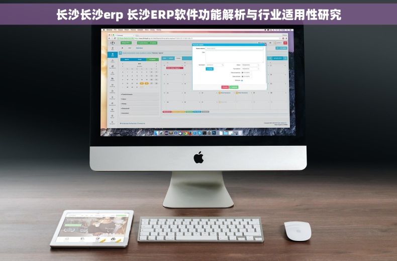 长沙长沙erp 长沙ERP软件功能解析与行业适用性研究